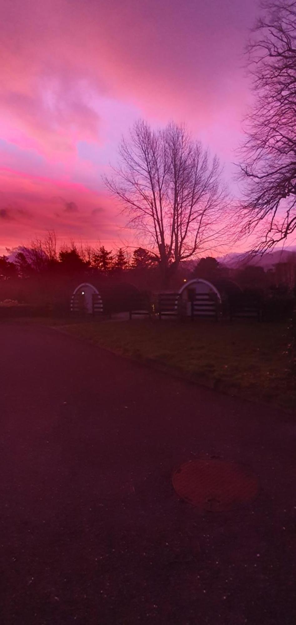 Priory Glamping Pods And Guest Accommodation Killarney Exterior photo