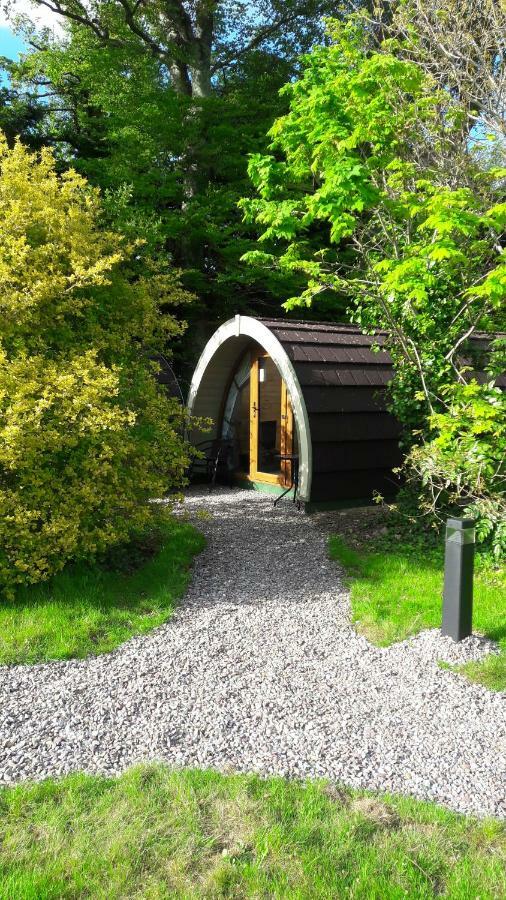 Priory Glamping Pods And Guest Accommodation Killarney Exterior photo
