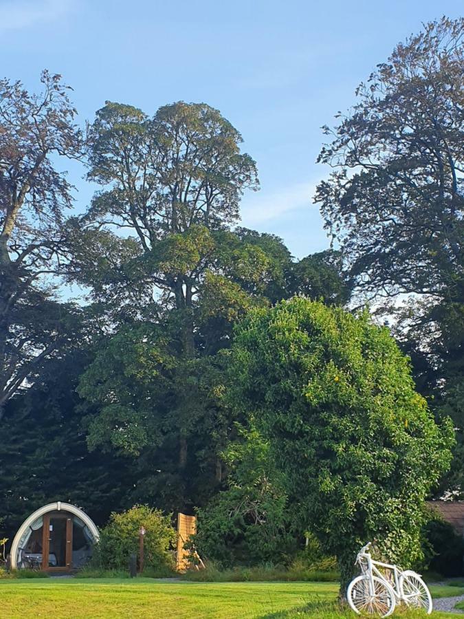 Priory Glamping Pods And Guest Accommodation Killarney Exterior photo