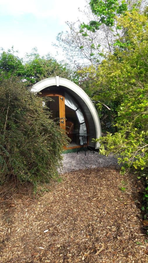 Priory Glamping Pods And Guest Accommodation Killarney Exterior photo